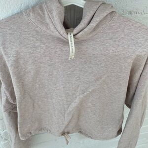 Aritzia Heathered Pink Hoodie